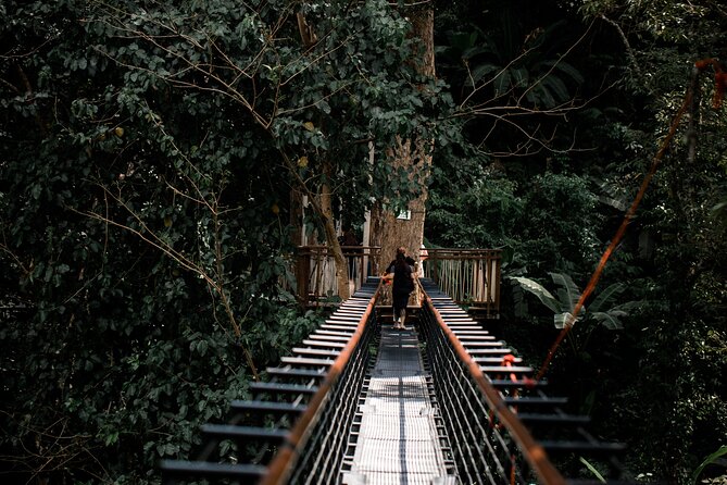 World B+ (Zipline 18 Platforms + Roller + Sky Walk with World Set Menu ) - Abseils and the 20m to 40m Height Step