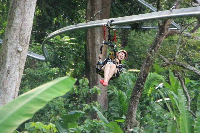 World B+ (Zipline 18 Platforms + Roller + Sky Walk with World Set Menu ) - Best Fit: Families, First-Timers, and Adrenaline Fans