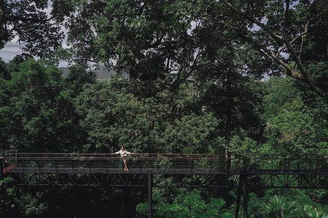 World C+ (Ziplines 10 Platforms + Roller + Sky Walk and World Set Menu ) - A Jungle Zipline Day in Phuket: what World C+ really delivers