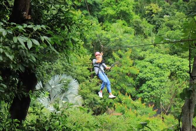 World C+ (Ziplines 10 Platforms + Roller + Sky Walk and World Set Menu ) - The included set menu and what to plan for meals