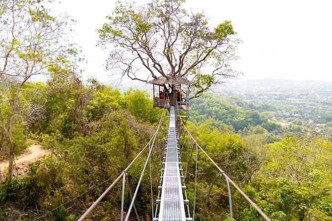 Zipline and ATV Skyline Adventure Phuket Include Pickup Transfer - Jungle Zipline: Safety Setup, How the Course Feels, and Why the Views Matter